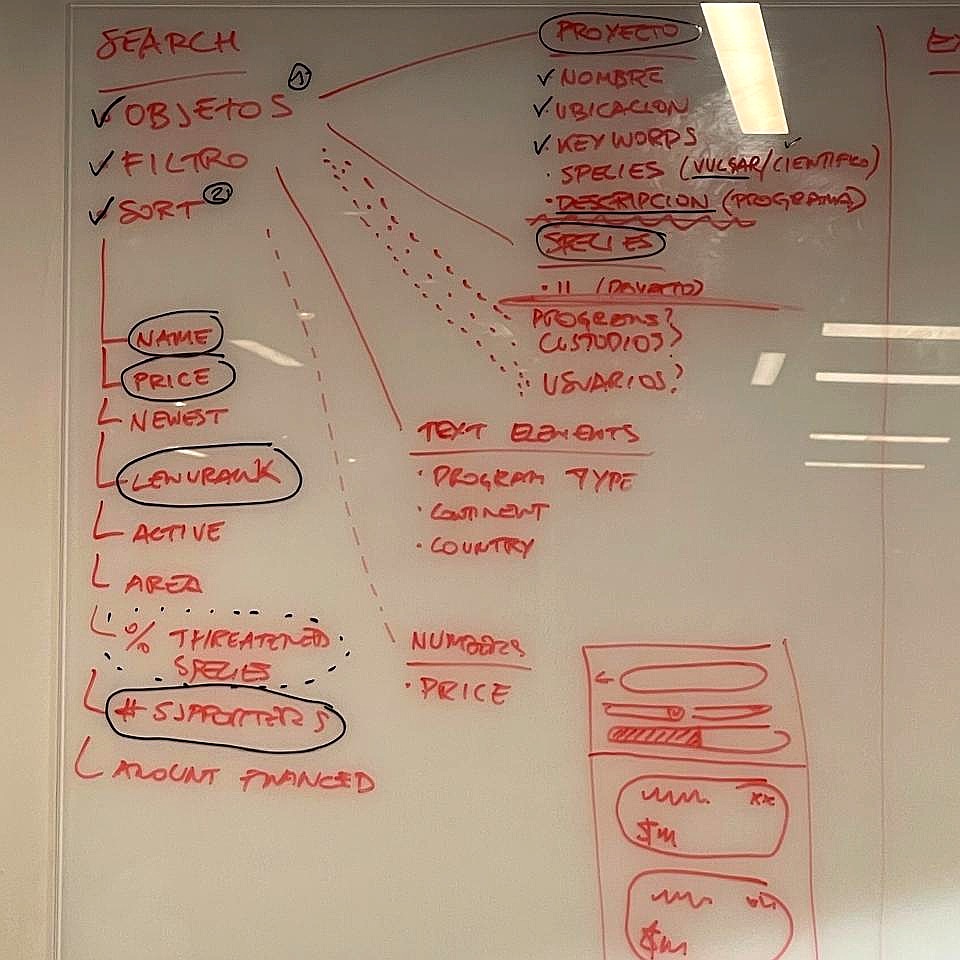Strategy workshop whiteboard: discovery, prioritization and roadmap mapping.